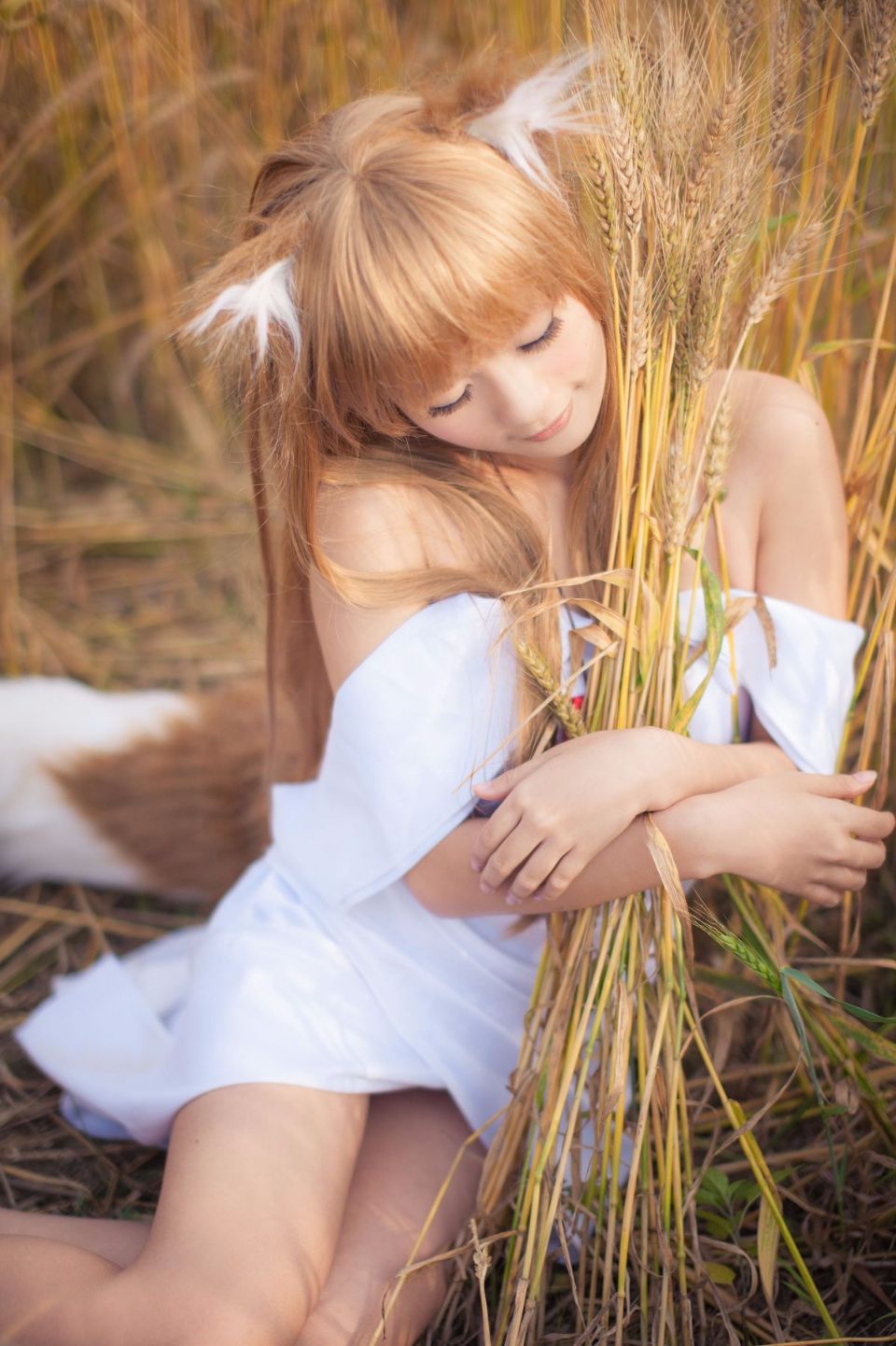 A Wolf’s Melody – Holo the Wise by ROCOCO [199P]