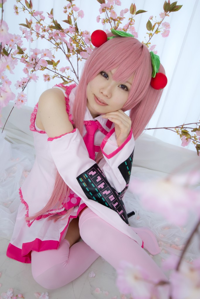 Piyokoya – VOCALOID: Hatsune Miku – Vocalo-M. Miku-Mix (feat. Piyoko) [216P]